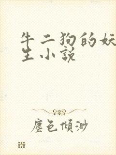 牛二狗的妖孽人生小说