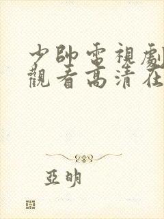 少帅电视剧免费观看高清在线