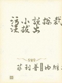 污小说总裁整夜没拔出封面