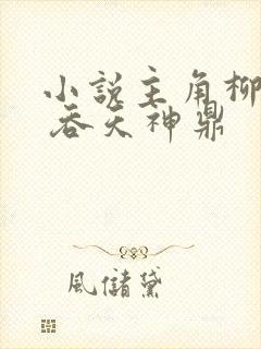 小说主角柳无邪 吞天神鼎