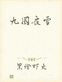 九国夜雪
