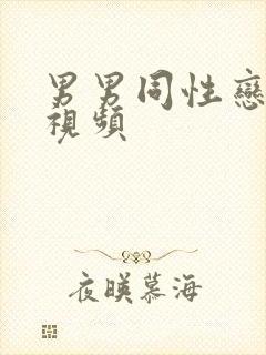 男男同性恋互操视频