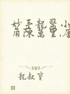 妙手龙医小说主角陈万里,唐嫣然