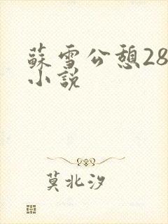 苏雪公憩28篇小说
