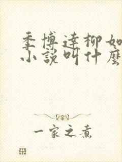 季博达柳如烟的小说叫什么