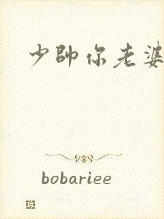 少帅你老婆
