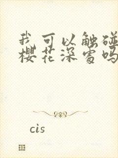 我可以触碰你的樱花深处吗