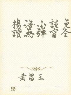 杨洛小说免费阅读无弹窗全文