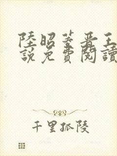 陆昭菱晋王的小说免费阅读