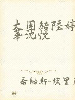 大团结陆婷婷陆华沈悦