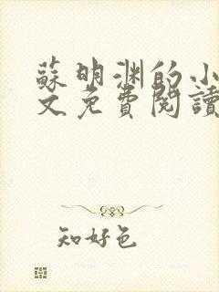 苏明渊的小说全文免费阅读无弹窗