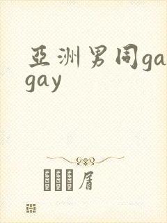 亚洲男同gaygay