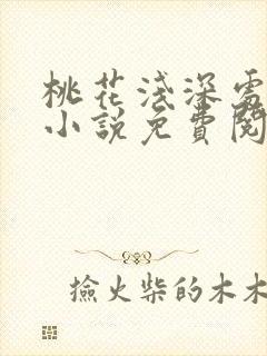 桃花浅深处在线小说免费阅读全文