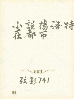 小说杨洛特种兵在都市