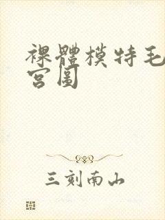 裸体模特毛明春宫图