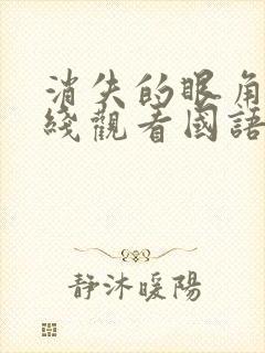 消失的眼角膜在线观看国语封面