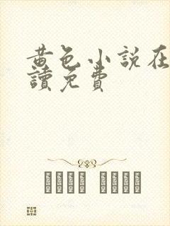 黄色小说在线阅读免费