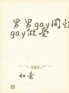 男男gay同性gay做受