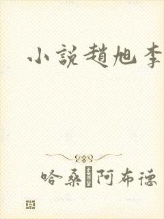 小说赵旭李晴晴封面