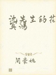 沈先生的花式调冥鸿