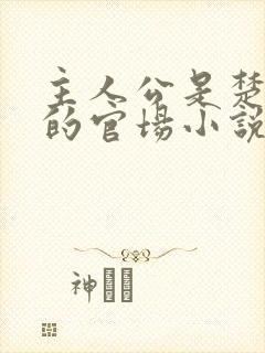 主人公是楚东恒的官场小说免费阅读