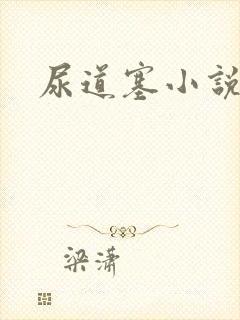 尿道塞小说封面