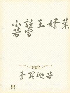 小说王婿叶凡唐若雪