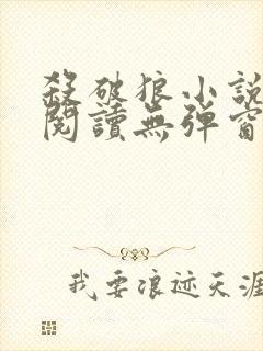 杀破狼小说免费阅读无弹窗