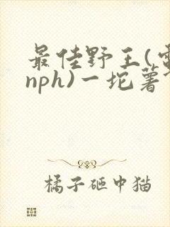 最佳野王(电竞nph)一坨薯饼