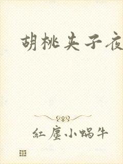 胡桃夹子夜未眠封面