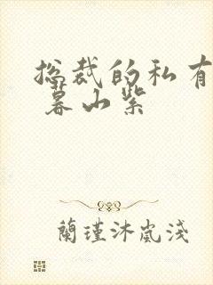 总裁的私有宝贝 暮山紫