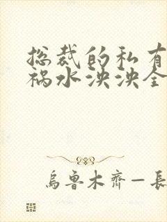 总裁的私有宝贝祸水泱泱全文阅读封面