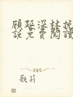 顾延深林挽音小说免费阅读最新章节