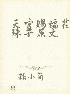 天官赐福花怜塞珠子原文封面