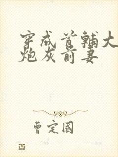 穿成首辅大人的炮灰前妻封面