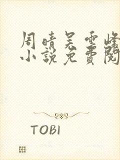 周晴吴云峰李磊小说免费阅读封面