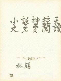 小说神控天下全文免费阅读