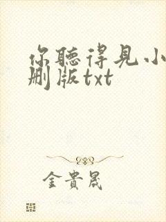 你听得见小说未删版txt