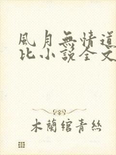 风月无情道比卡比小说全文免费阅读笔趣阁