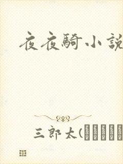 夜夜骑小说