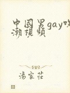 中国男gay吹潮视频