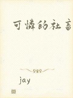 可怜的社畜分手