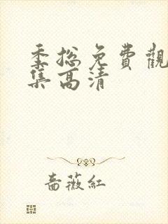 季总免费观看全集高清