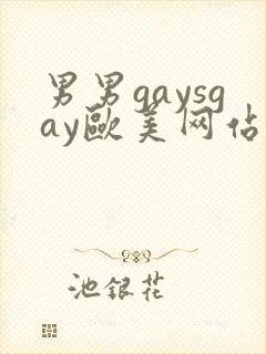 男男gaysgay欧美网站