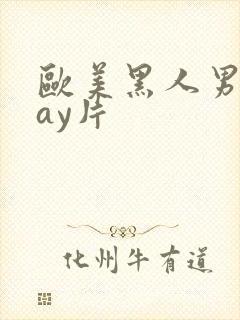 欧美黑人男男gay片