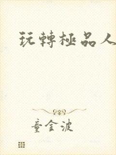 玩转极品人生封面