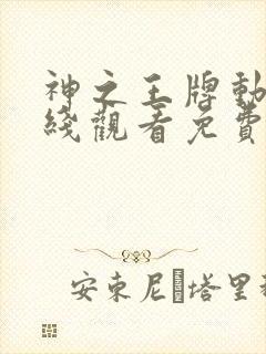 神之王牌动漫在线观看免费播放