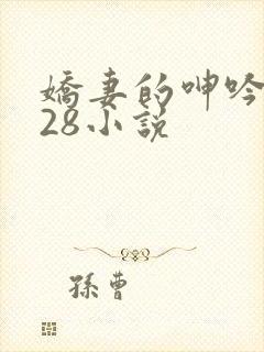 娇妻的呻吟1—28小说