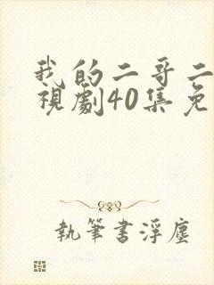 我的二哥二嫂电视剧40集免费观看