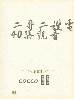 二哥二嫂电视剧40集观看